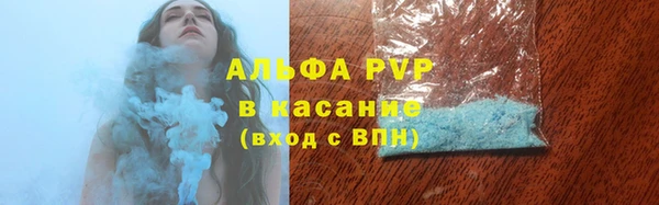 индика Краснотурьинск