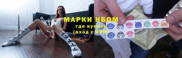индика Краснотурьинск