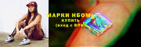 индика Краснотурьинск