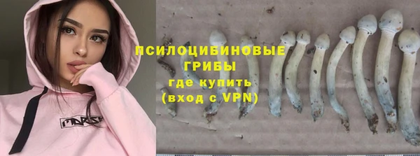 скорость Новосибирск