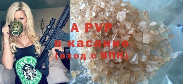 индика Краснотурьинск