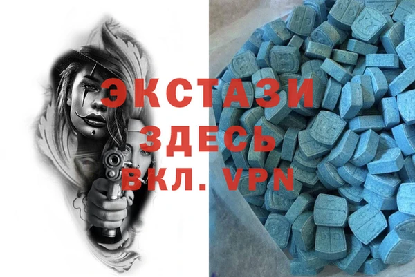 индика Краснотурьинск