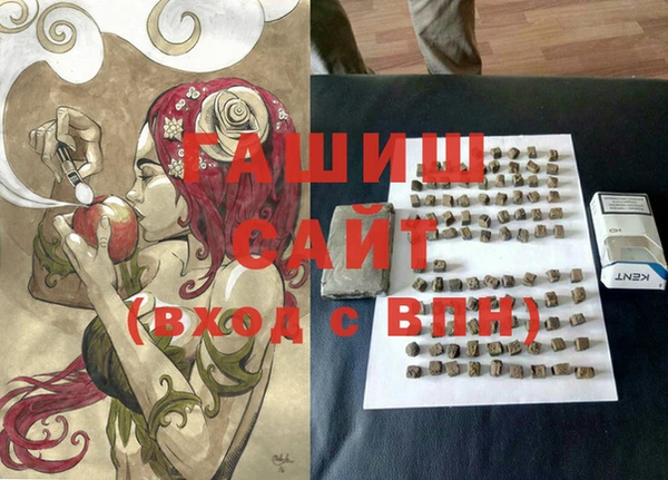 индика Краснотурьинск