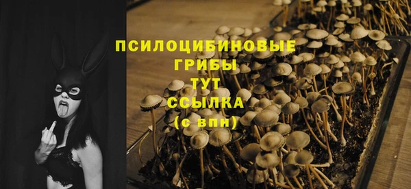 не бодяженный Краснослободск