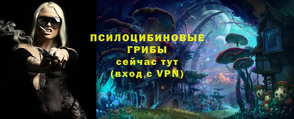 индика Краснотурьинск