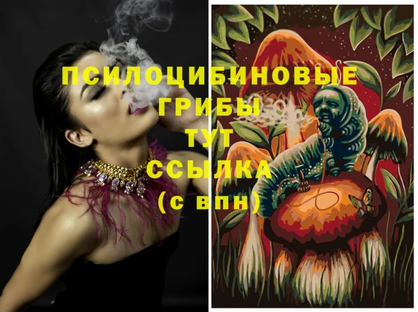 индика Краснотурьинск