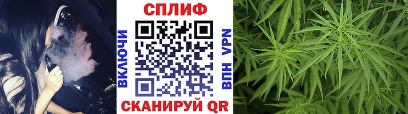 Марихуана план  Суоярви 